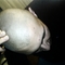 DSC00046.JPG