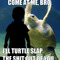 Come+At+Me+Bro+-+i%27ll+Turtle+Slap+The+Shit+Out+Of+You.jpg