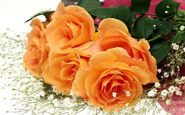 1440x900_High_resolution_flower_art_123453.jpg