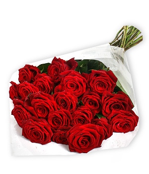 big_high_1_85666.jpg