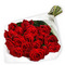 big_high_1_85666.jpg