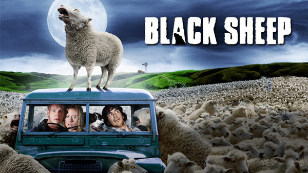 blacksheep_1.jpg