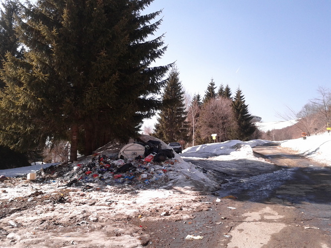 IMG_20120318_151100.jpg