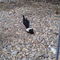 20120320_070714.jpg