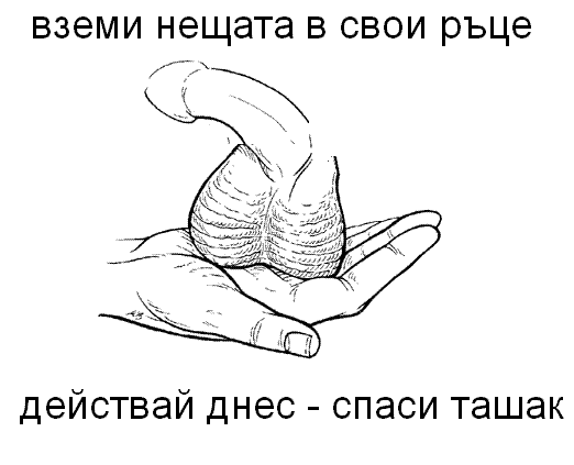ta6ak.gif