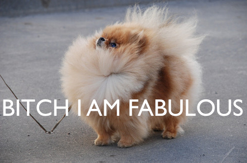 tumblr_ll42q5qegb1qhjtd3.png