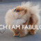 tumblr_ll42q5qegb1qhjtd3.png