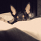 DSCF99041.jpg