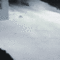 ljvoJ.gif