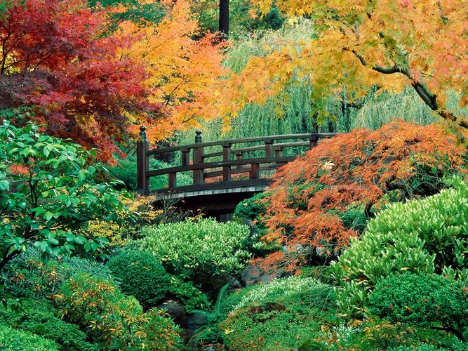 Japanese Garden, Washington Park, Portland, Oregon_2.jpg