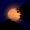 05.05.2012 super fullmoon.jpg