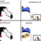 tumblr_m30n07LQPt1qbcqrjo1_1280.jpg