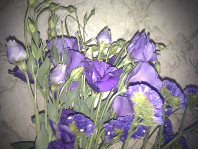 2012-07-20 17.37.45.jpg