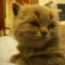 tumblr_m7ms8cQaRW1r1uvxx.gif