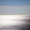 seasm.jpg