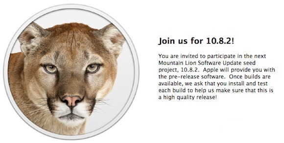 OS+X+Mountain+Lion+10.8.2+Build.jpg