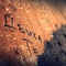 IMG_9929frrf.jpg
