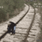 O7MmI.gif