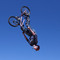 DSC07954.jpg