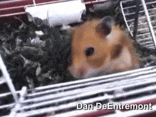 October-27-2011-02-46-50-5vn70z.gif