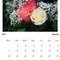 calendar_roses.jpg