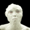 meh.ro10571.gif