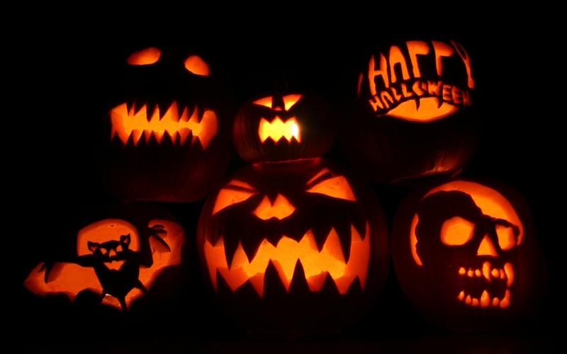 87473-halloween-bat-pumpkin.jpg