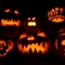 87473-halloween-bat-pumpkin.jpg