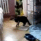 tumblr_md3t4hiMLg1rd0upvo1_400.gif