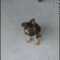 1192012155885.gif