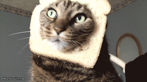 FURrG.gif