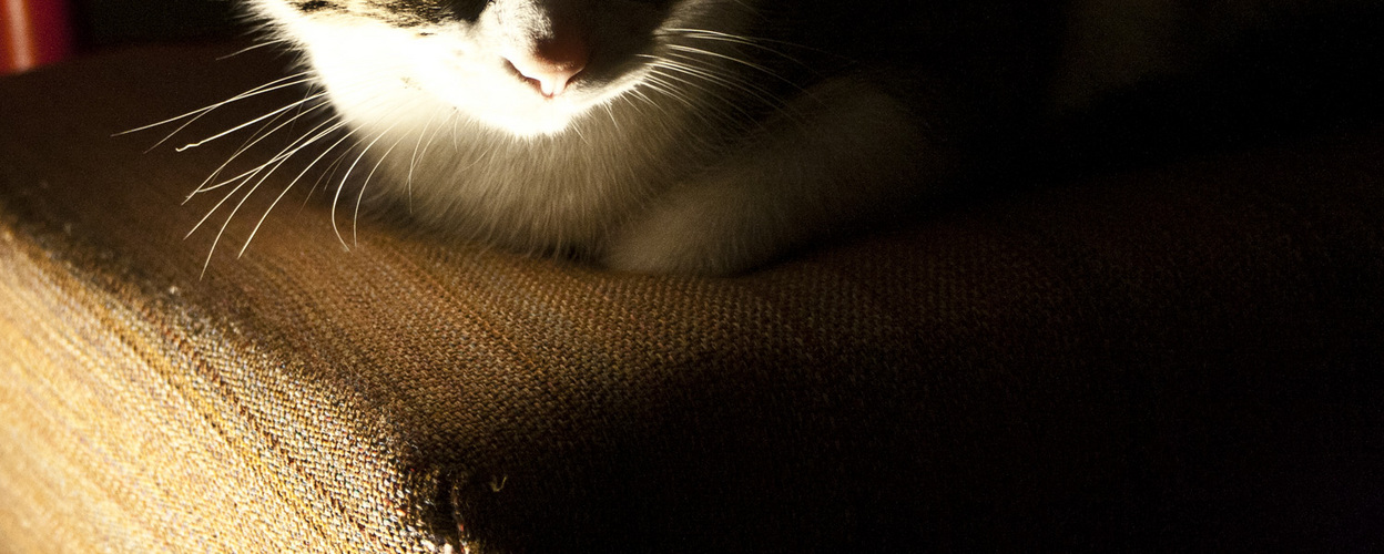 IMG_fsdfsdfsf0379sss.jpg