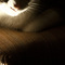 IMG_fsdfsdfsf0379sss.jpg