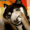 42072.gif