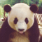 tumblr_mco5jhF3gi1rj81zro1_500.gif