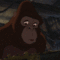 tumblr_m4wxavw1VU1rtcl10o6_500.gif