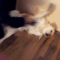 1355402912461.gif