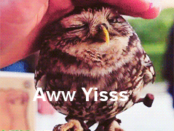 12112012011971.gif