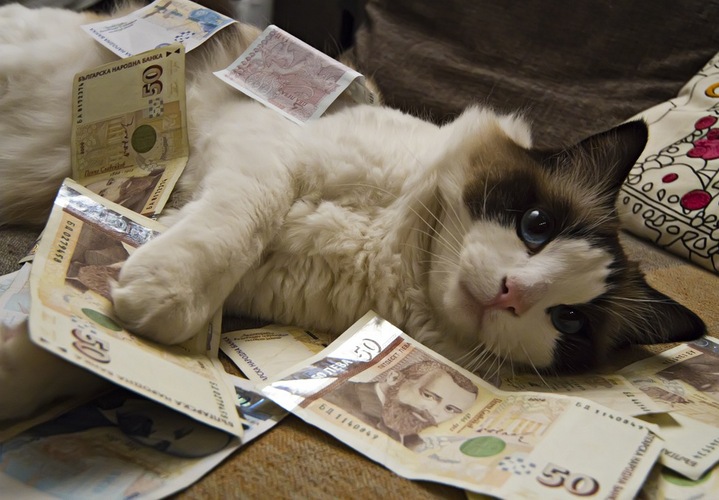 tumblr_mf7e3dmSwa1qgn992o1_1280.jpg