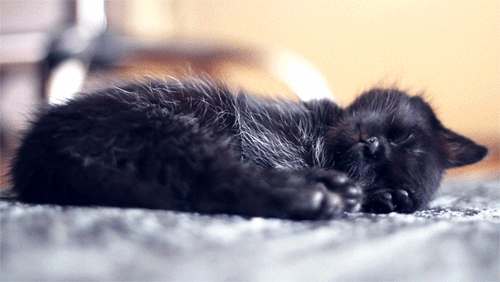 tumblr_m9zux8FkeS1qeccpho1_500.gif