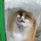 tumblr_lxufc3zc3X1r2h9bro2_250.gif