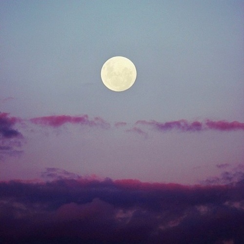 tumblr_mdlf8xUul51rbhz1oo1_500-1051.jpg