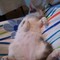 WP_001798.jpg