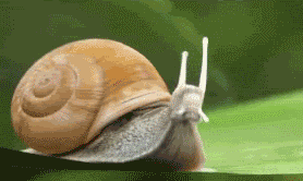 1342875729-AbandonThread.gif