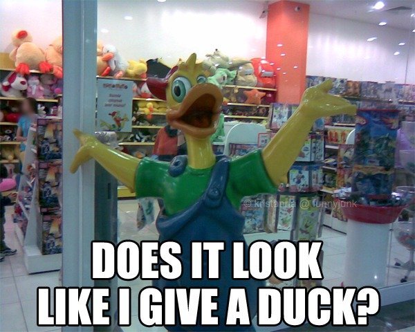 No Ducks were Given that Day. Look at all the_599fd4_3361329.jpg
