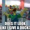 No Ducks were Given that Day. Look at all the_599fd4_3361329.jpg