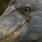 U9XSQ.gif