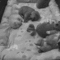 tumblr_m5x9i1MfbR1qghwxto1_r1_500.gif