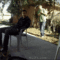 9jIvCQk.gif