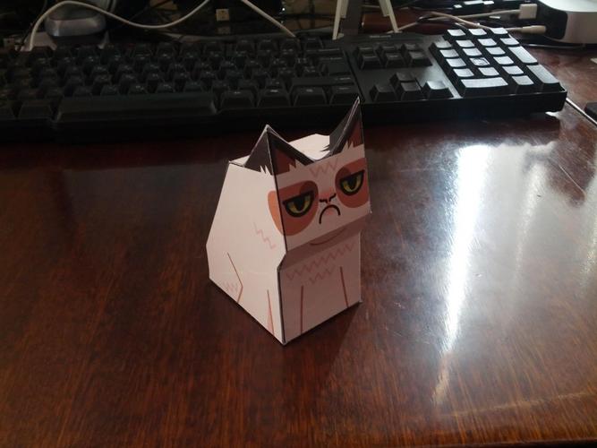 grumpy_cat_3d.jpg